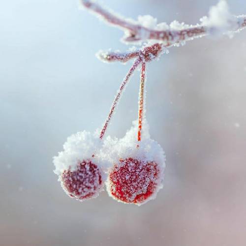  برات لباسی از حریر میارم نگینش از ماه پولک از ستاره